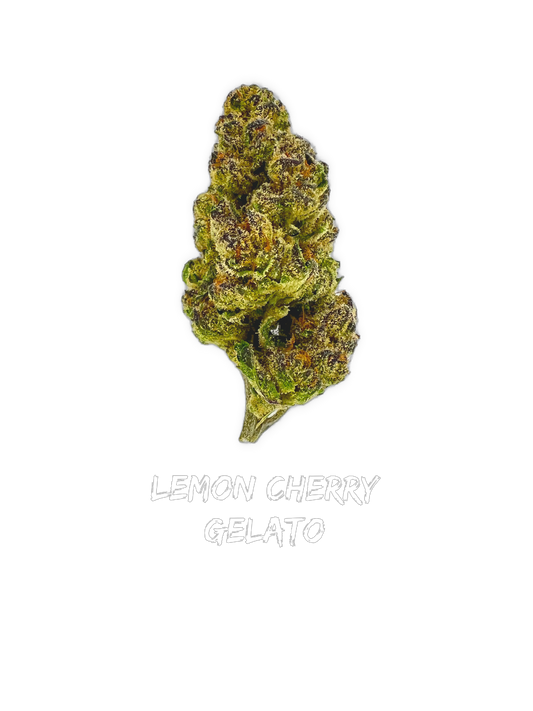 Lemon Cherry Gelato