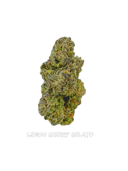Lemon Cherry Gelato