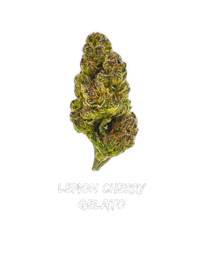 Lemon Cherry Gelato