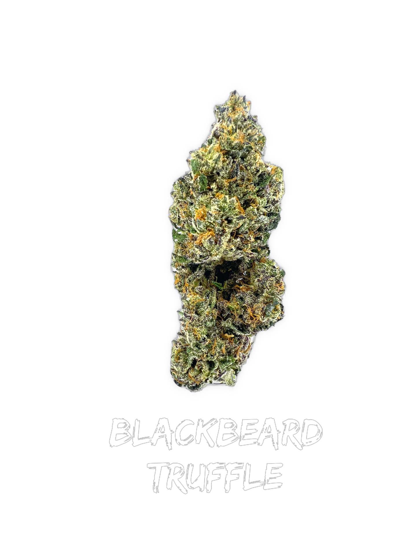 Blackbeard Truffle