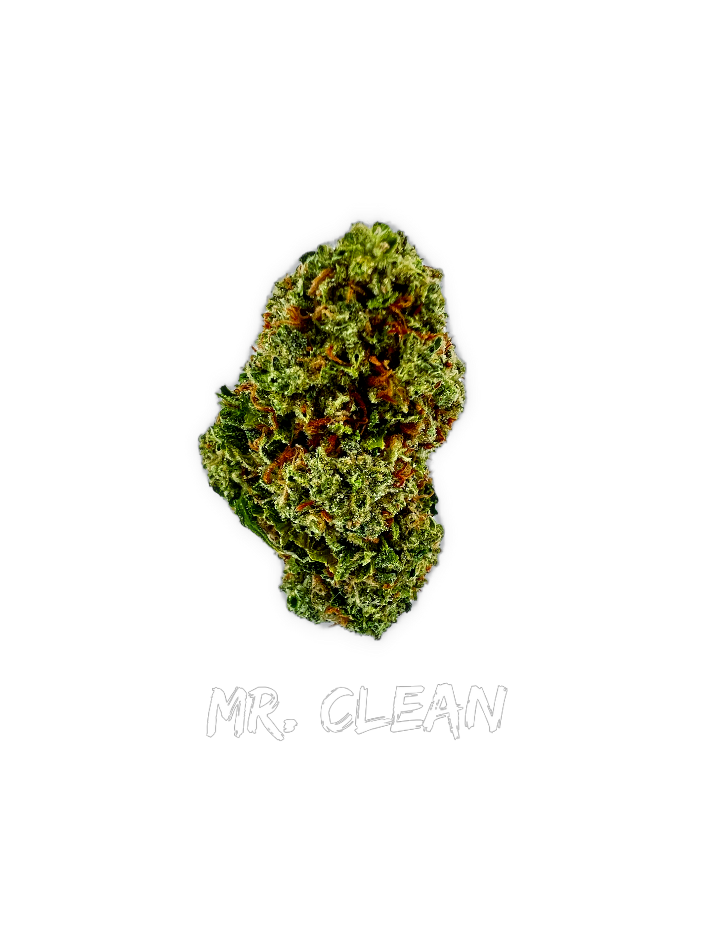 Mr Clean