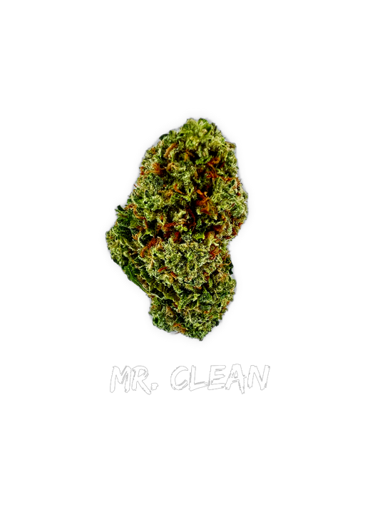 Mr Clean